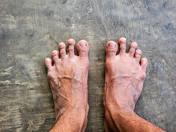 腿部的静脉清晰可见图片下载