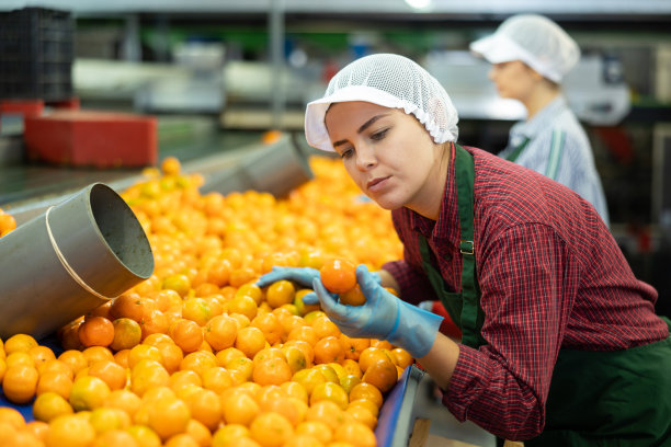 勤奋的年轻女工在生产线上检查橘子的质量。图片下载