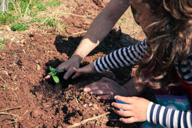 培育未来:父女在可持续发展领域创造有机遗产图片下载