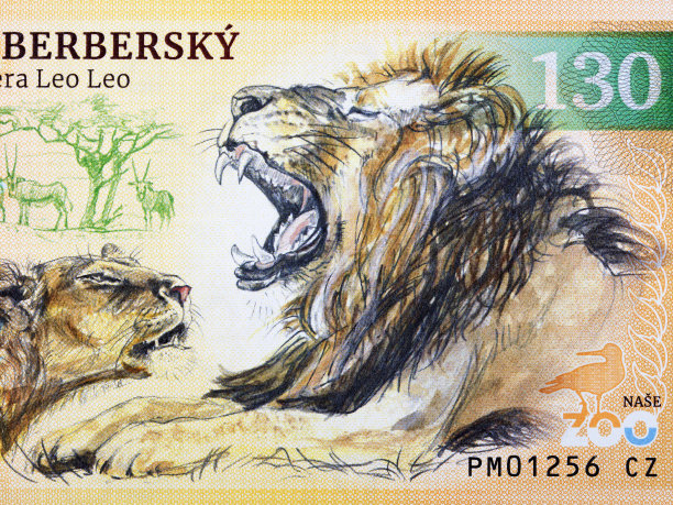 《非洲狮》是钱的肖像图片下载