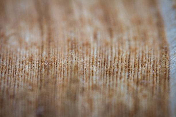 一本旧书的侧面特写图片下载