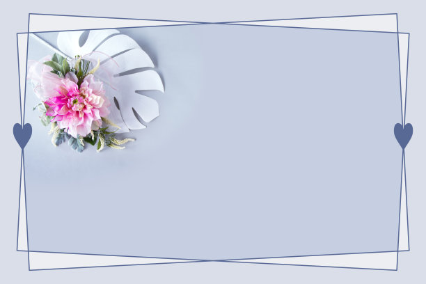 粉红色和白色艳丽的大丽花花束图片下载