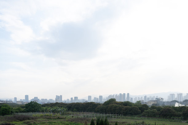 河边的树木和远处的城市图片下载