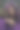美丽的女人与猫头鹰在紫色的礼服在大自然图片下载