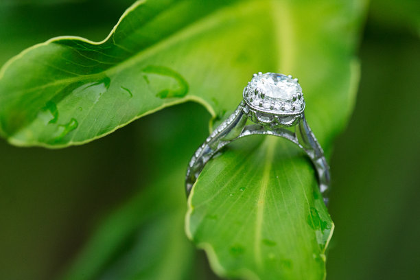 订婚戒指挂在潮湿的树叶上图片下载