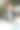 微笑的现代女工在现代绿色办公室吃沙拉图片下载