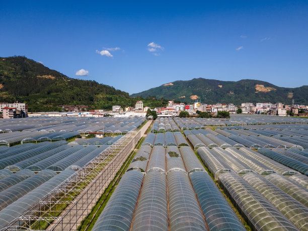 城市和农业蔬菜大棚图片下载