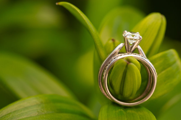 亚洲百合花蕾上的结婚戒指图片下载