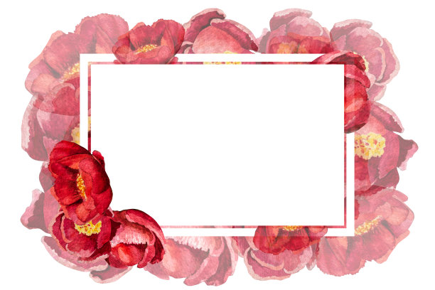 水彩插图的框架和卡片牡丹薄叶在一个白色的背景图片下载