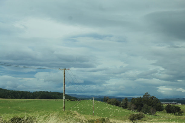 新西兰的农业图片下载