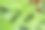 用绿叶做成的创意布局图片下载