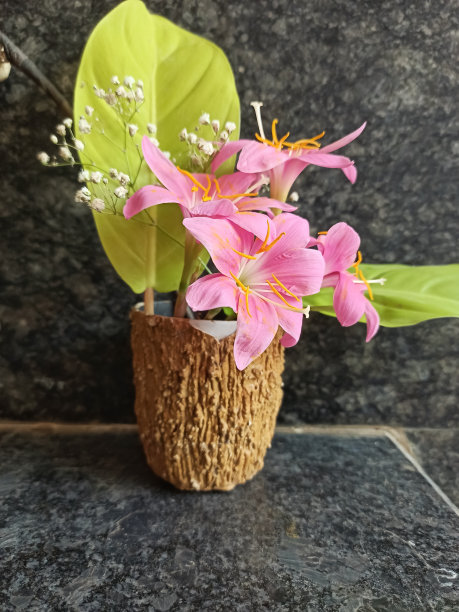 粉色雨百合的特写照片，用于绿色叶子的花束图片下载