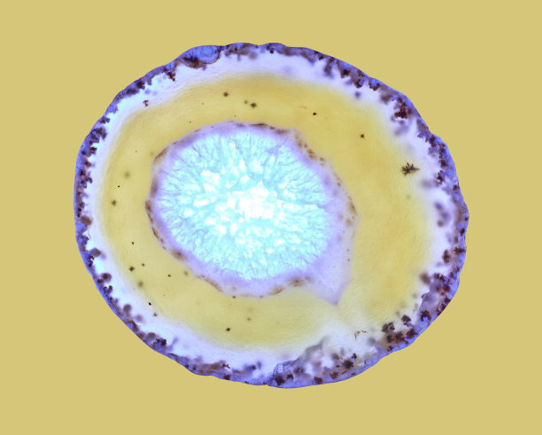 矿物水晶照片的特写镜头，背景，纹理图片下载