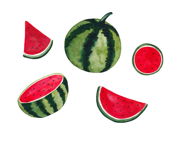 水彩剪贴画与整个西瓜和切片图片下载