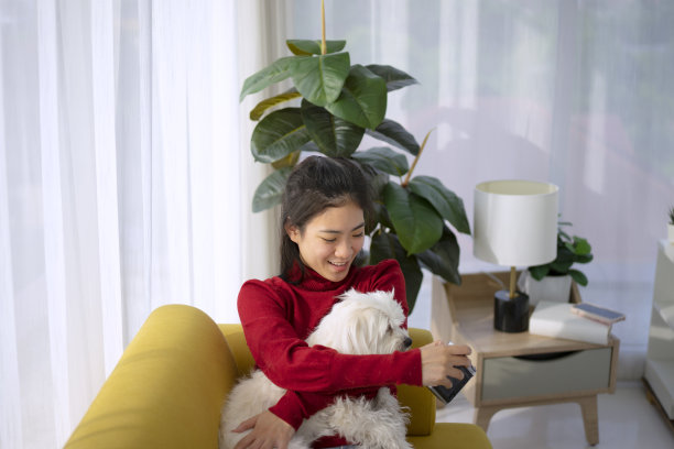 年轻女子在家里和她的狗玩耍。图片下载