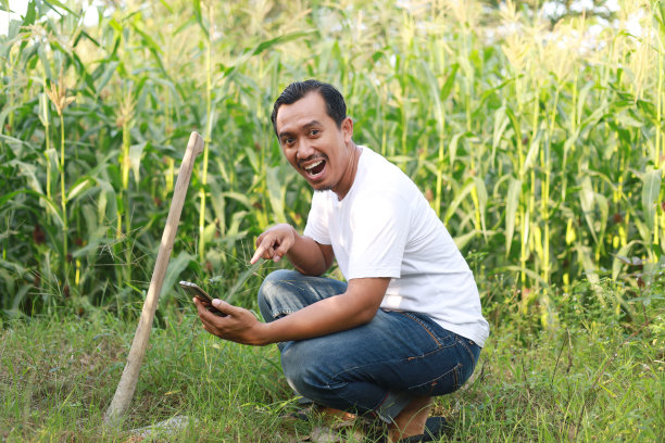 惊讶的印尼农民站在种植园里，手里拿着锄头和手机图片下载