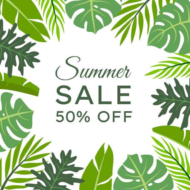 方形框架与夏季热带树叶图片下载