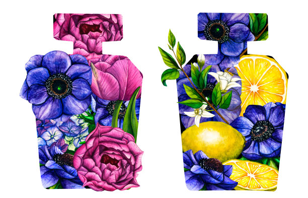 水彩花卉香水瓶与紫色郁金香，蓝色海葵和柠檬树枝与水果和花朵。手绘插图花芳香喷雾隔离在白色背景的贺卡，婚礼邀请和生日图片下载