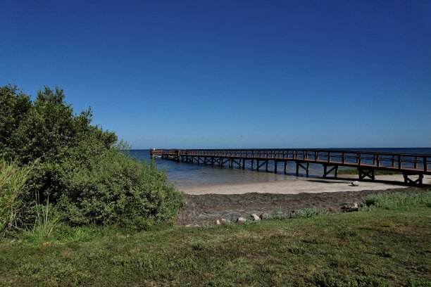 无人机拍摄的佛罗里达水晶海滩捕鱼码头照片图片下载