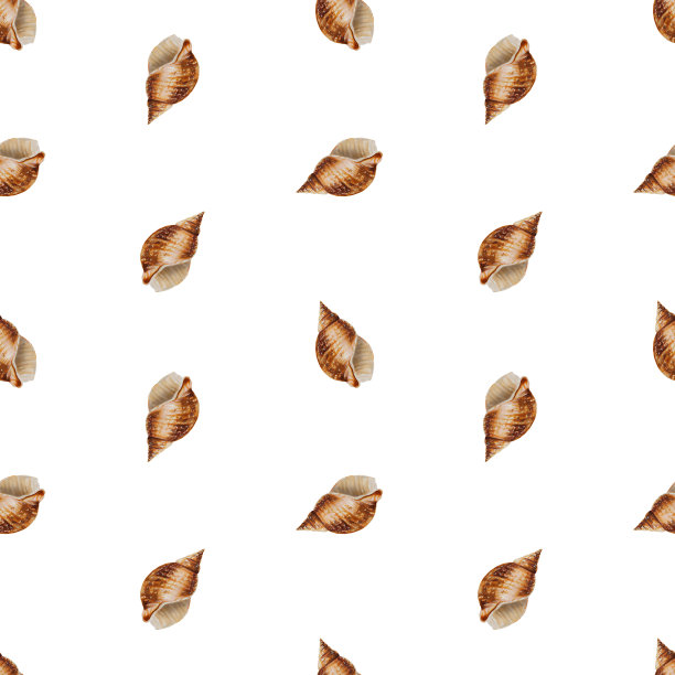 水彩无缝图案与壳。手绘剪纸水下生活对象在一个白色孤立的背景。适合设计师，装饰，明信片，包装纸，剪贴簿，封面，请柬，婚礼设计，海报和纺织品图片下载