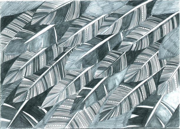 从纹理装饰的灰色羽毛抽象的背景。图片下载