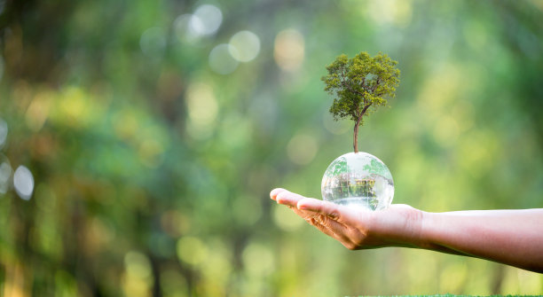 手持玻璃球与树木生长和绿色自然模糊的背景。生态环保理念。世界环境日。地球日概念。图片下载