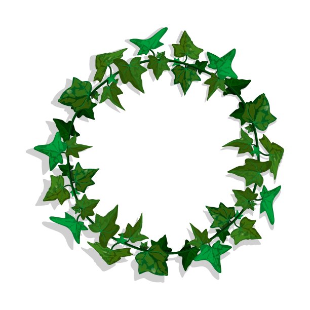 长着绿叶的常春藤草。卡通粗圆边框，用于贺卡装饰，邀请卡。彩色矢量隔离在白色背景图片下载