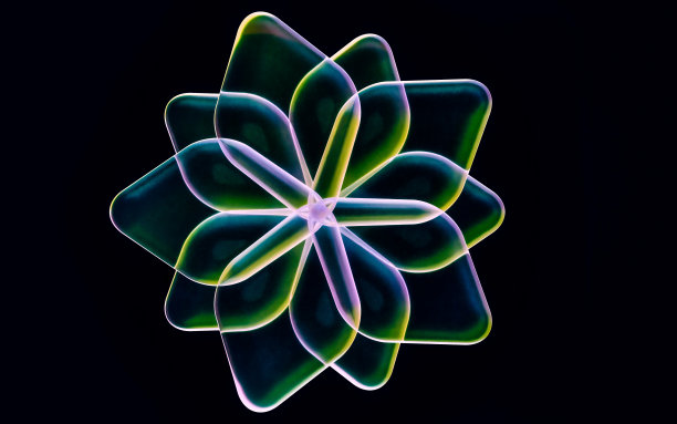 由水晶玻璃制成的花的3D插图图片下载