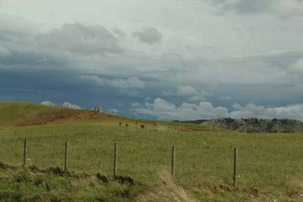 新西兰的农业图片下载