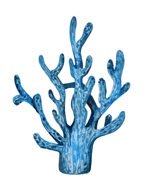 水彩画海洋珊瑚礁绘制海洋天然藻类，水螅珊瑚植物海藻白色背景手绘插画图片下载