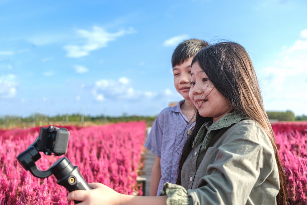 熊妹妹和熊哥哥正在录制他们的旅行视频。图片下载