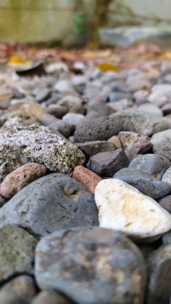 巨大的火成岩块与干叶子在顶部，岩石纹理的背景图片下载