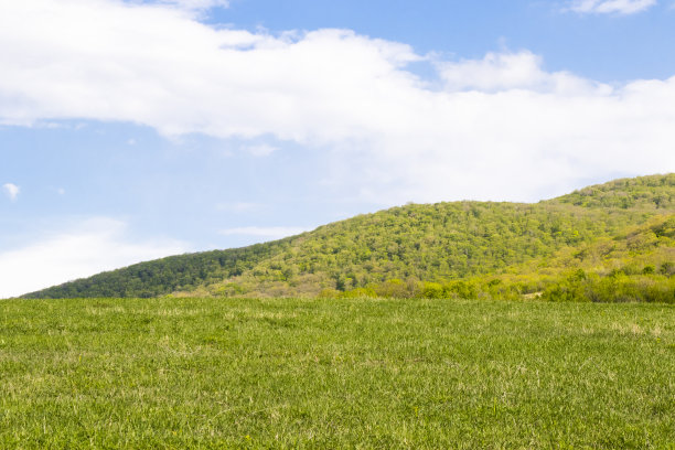 绿草的背景，阳光和绿色的颜色，阴影和灯光图片下载
