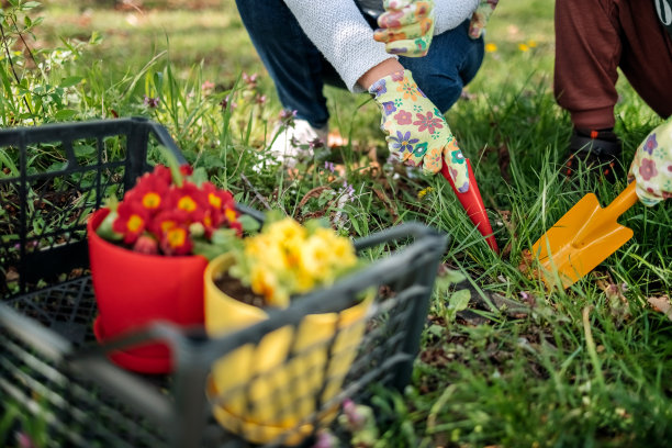 注意红色和黄色图片下载