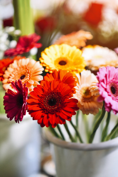 在农贸市场出售的鲜花图片下载