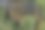 佛罗里达州坦帕湾的海湾红树林航拍照片图片下载