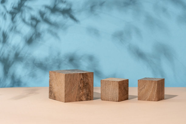 组成空裙楼的材料是树石干花。产品演示。米色背景。美丽的自然材料背景。图片下载