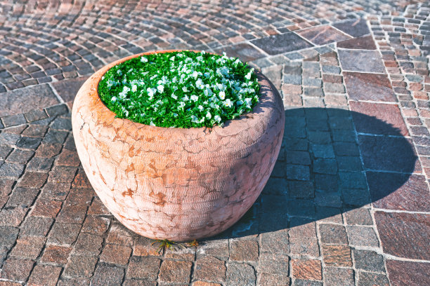 街道石花瓶，鲜花图片下载