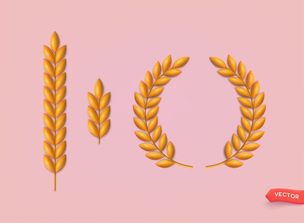 3d小麦花环和谷物穗设置图标。3D网络矢量插图。图片下载