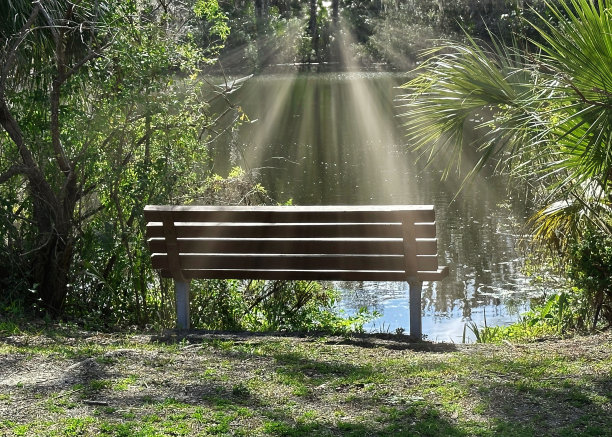 长凳上的阳光图片下载