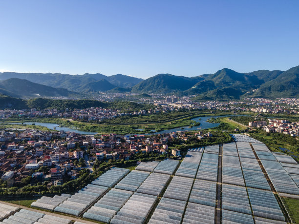 鸟瞰村附近的农用蔬菜大棚图片下载