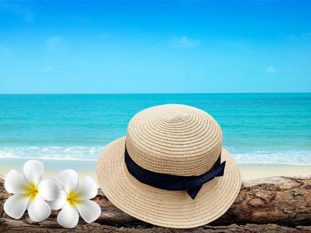 复古的帽子，木制的图标，鲜花和热带海洋的背景。夏日天堂游船旅游设计以旅游、沙滩、度假旅游为理念的目的地图片下载