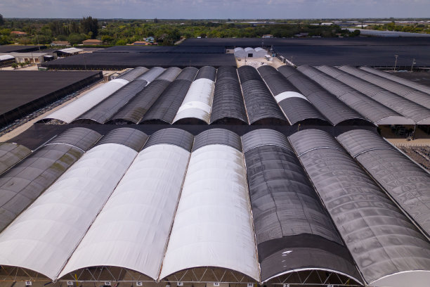 农场的景色。佛罗里达州农业。温室和种植园图片下载