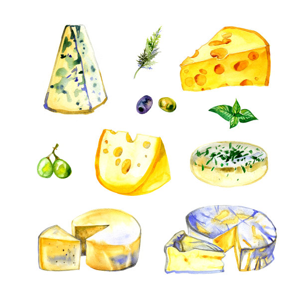 水彩牛奶奶酪设置在白色背景。图片下载