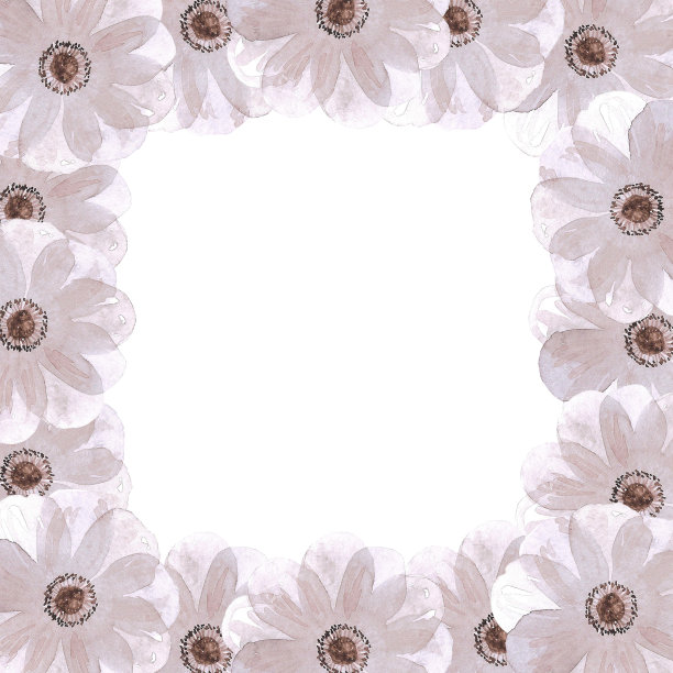 手绘水彩灰色海葵寄宿草在白色的背景。剪贴簿，明信片，婚礼请柬，相册。图片下载