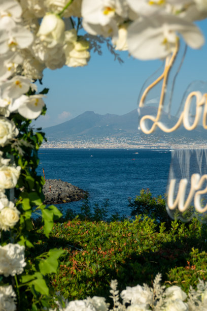 霓虹字母与那不勒斯维苏威火山背景和花朵图片下载