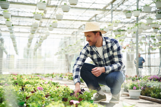 戴着草帽。花匠在园艺中心工作。成功的员工就像在明亮的温室里图片下载