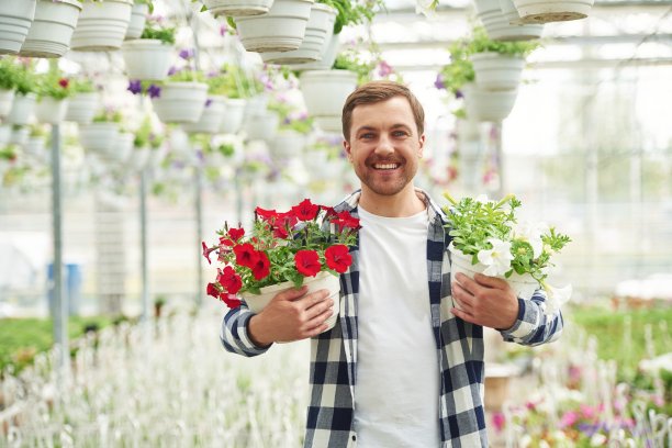 美丽的红花。在园艺中心工作的人。成功的员工就像在明亮的温室里图片下载