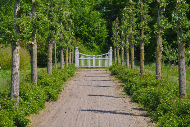 带花园门的花园小径图片下载