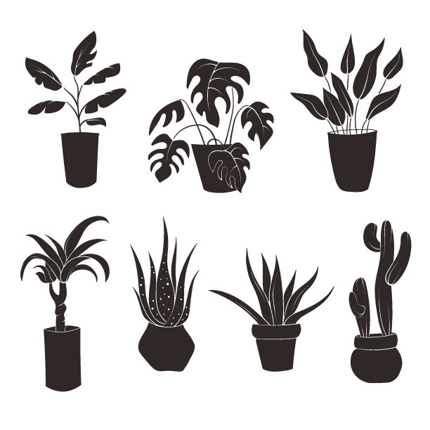 室内植物扁平设置。剪影系列装饰室内房屋，花园植物。黑色和白色的家庭植物在花盆轮廓涂鸦。矢量插图的家庭植物。图片下载